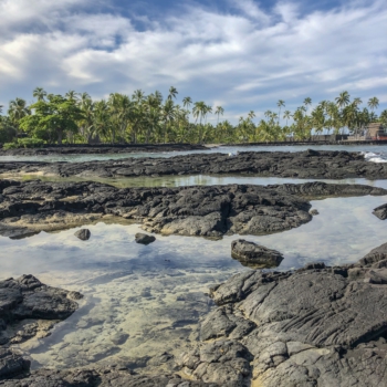 CD6C2500-6F01-4810-9FBA-61715E01F39B