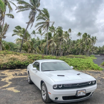 CEDAE148-2558-4F0F-9656-35BB04AD1FA5