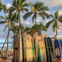 D6CD2276-8098-4562-A188-B97066287815