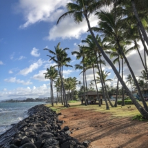 D9EA7A46-8A33-4E3B-9CAC-7B922CE48AF4