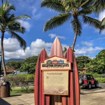 ED6BAA92-E69E-45F5-969B-28F8596D595E