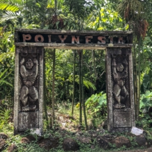 EFC70E48-DBA0-467E-B406-C9D9D0319492