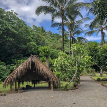 F09A1668-9B2D-4BDF-9F9A-06C056D0E450