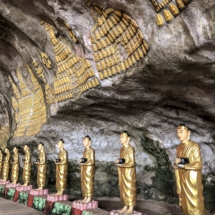 0262C73D-B4B9-433B-A461-D8E0DD93C38D