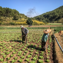 1337275C-CDD9-43F7-AD94-1BB03D474B15