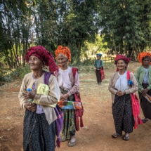 3117FA66-6C94-494D-B852-A9A05A1CB550