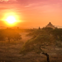 5604E0F2-D1CD-48D0-AD89-609FE273F0B6