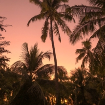 63A55180-4D55-4FAF-B880-C04AAC683377