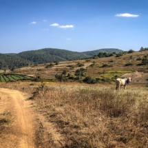 6C7B4E54-4A8F-4EB1-8AD9-62C94C63F9B4