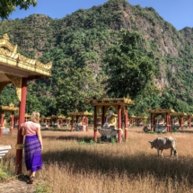 6F51E96A-2DE5-437B-9B40-691F5EFCD641