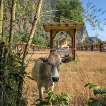 B4BDC796-1D5E-47C5-9B7F-F687E99B98F1