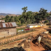 B6FA31E7-22AF-4D98-8A13-7FD32D44A781