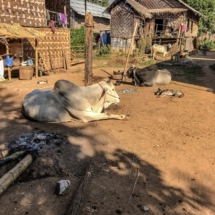 D4665D91-9B63-4B0A-85DB-280269E2D54D