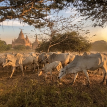 DA9C8682-82F4-4DC9-8D1E-F6102C67268E