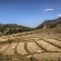 DBF23CE4-307D-44A4-B09B-187F4EC145DC