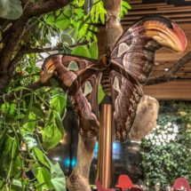 49F5BE12-E5D4-489F-BD30-8A64EB851E89