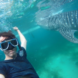 7000D6EB-E440-45E3-B618-2E24D1412900