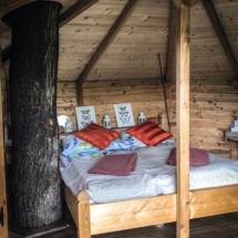 1F444CCF-A30B-4AAF-A561-A7A263B2F8D0