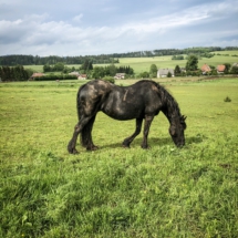 90A504DC-4621-46F4-8F57-BDB7DA21CB7F