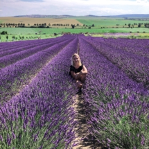 0FB80FB5-800F-4397-89AA-9834D65A4A91