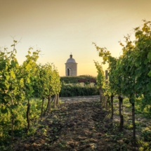 169906ED-40D5-49D4-8715-5943D5A43A71