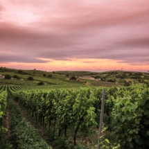 46261F4A-9523-46B6-B0FA-7F6F8F7BB592