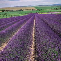 978AC0C8-E18D-4CD1-8D0C-9C52B8258592